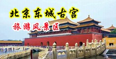 操插少妇的花蕊中国北京-东城古宫旅游风景区